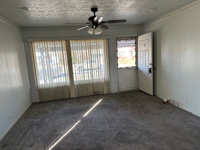 carpeted spare room featuring crown molding, a ceiling fan, a wealth of natural light, and a textured ceiling