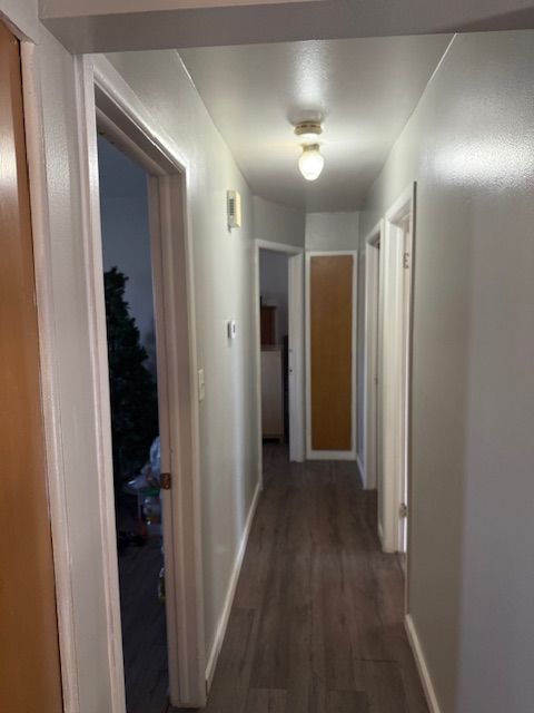 hallway featuring baseboards and dark wood finished floors