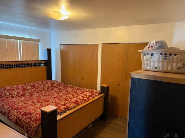 bedroom featuring two closets and wood finished floors