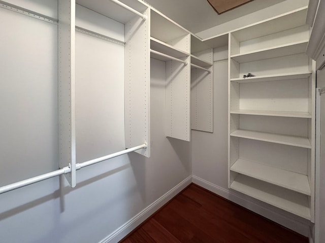 spacious closet featuring dark wood-style flooring