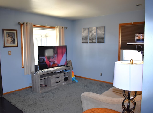 living area featuring baseboards and carpet floors