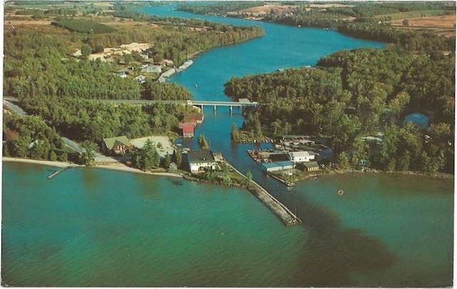 9059 Clam Lake Rd, Bellaire, MI 49615 - drone / aerial view featuring a water view