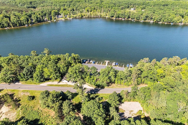 9059 Clam Lake Rd, Bellaire, MI 49615 - bird's eye view featuring a forest view and a water view