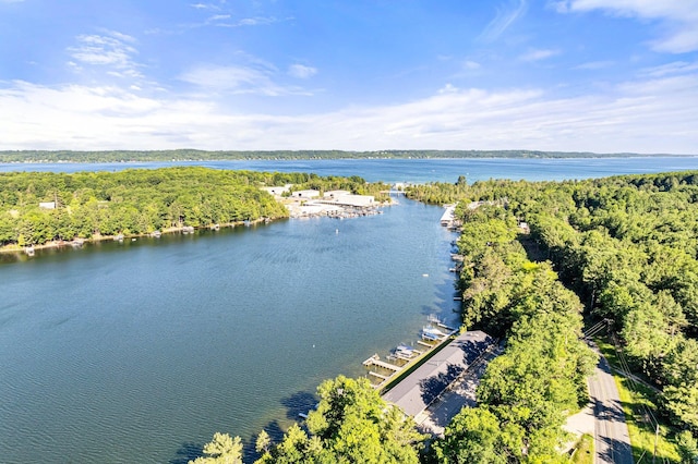 9059 Clam Lake Rd, Bellaire, MI 49615 - drone / aerial view with a water view