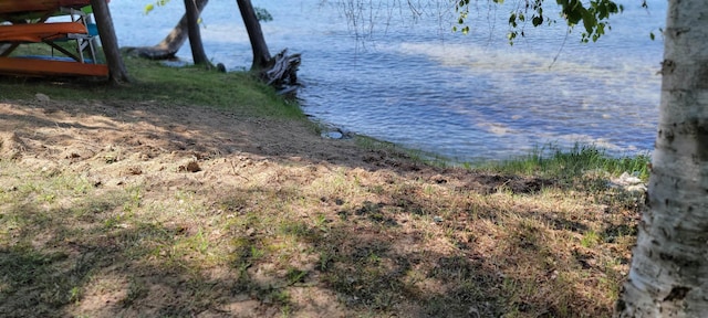 9059 Clam Lake Rd, Bellaire, MI 49615 - property view of water