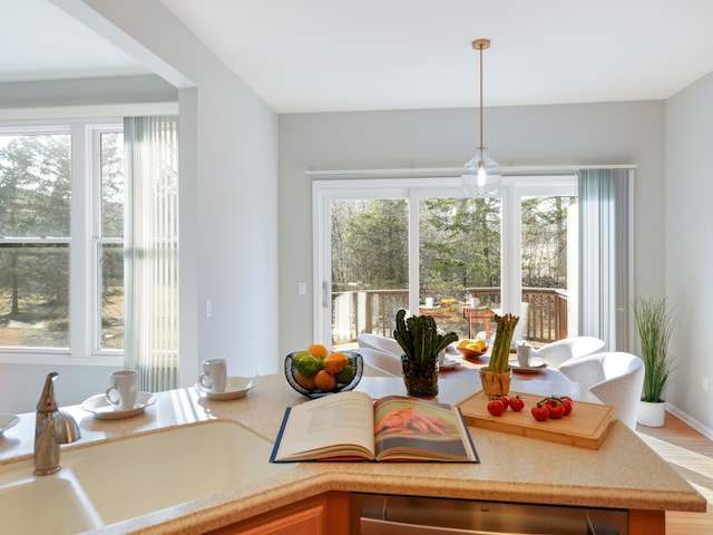 dining area featuring a wealth of natural light