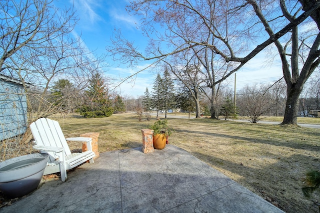 view of yard featuring a patio area