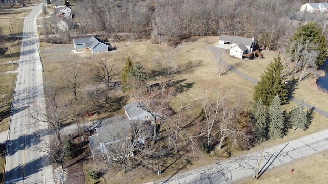 drone / aerial view