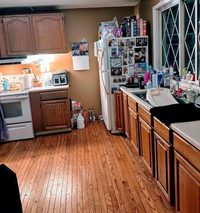 kitchen with white appliances, a sink, extractor fan, light countertops, and light wood-type flooring