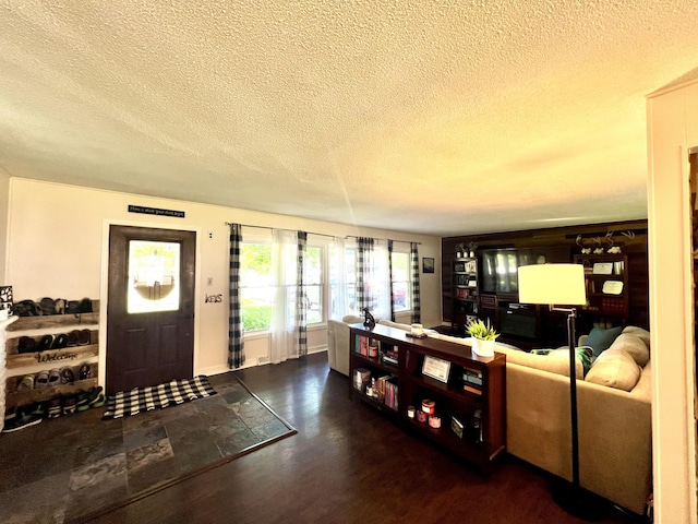 living area featuring dark wood finished floors and a textured ceiling