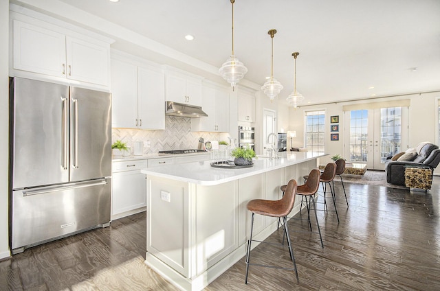 2822 Purley Ave, Ann Arbor, MI 48105 - kitchen with dark wood-style flooring, open floor plan, under cabinet range hood, stainless steel appliances, and french doors