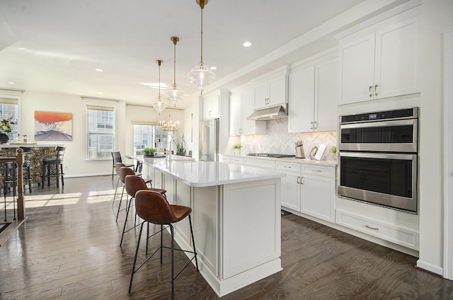 2822 Purley Ave, Ann Arbor, MI 48105 - kitchen featuring dark wood-style flooring, an island with sink, light countertops, under cabinet range hood, and stainless steel appliances