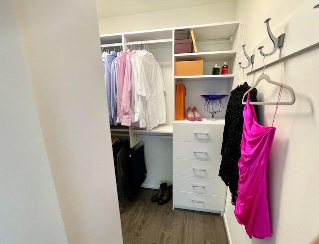 2822 Purley Ave, Ann Arbor, MI 48105 - view of closet