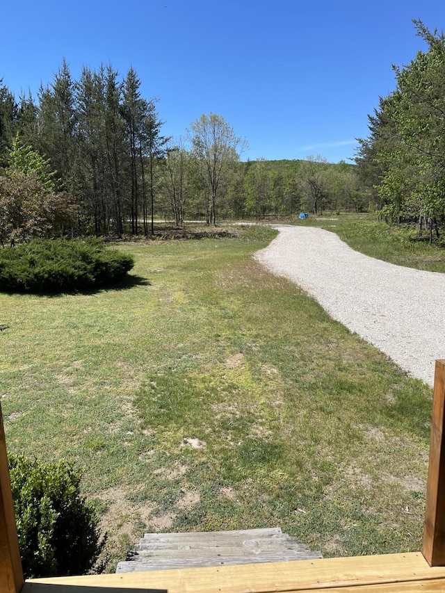 view of yard featuring a forest view