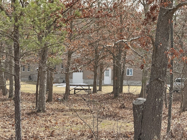 view of yard with a garage