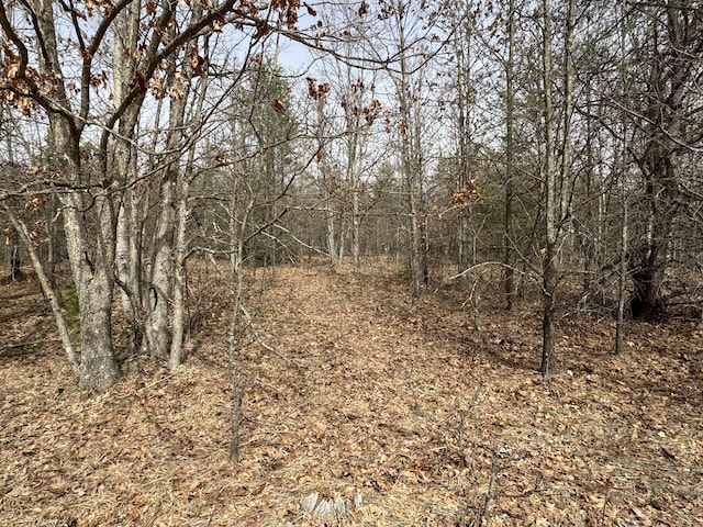 view of landscape