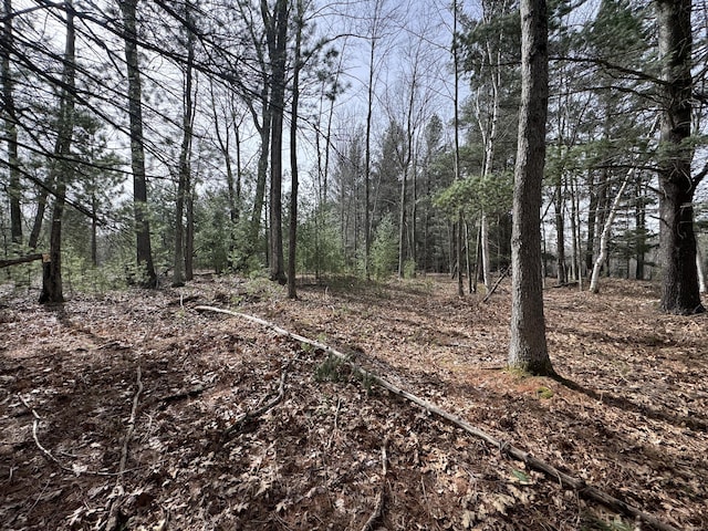 view of nature with a forest view