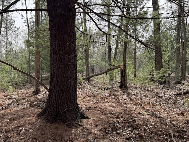 view of local wilderness with a wooded view