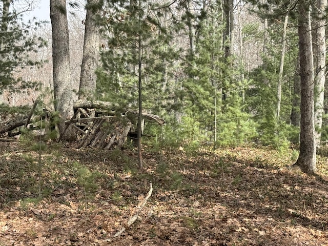 view of landscape featuring a forest view