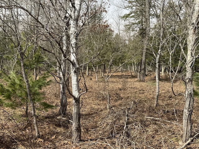 view of landscape