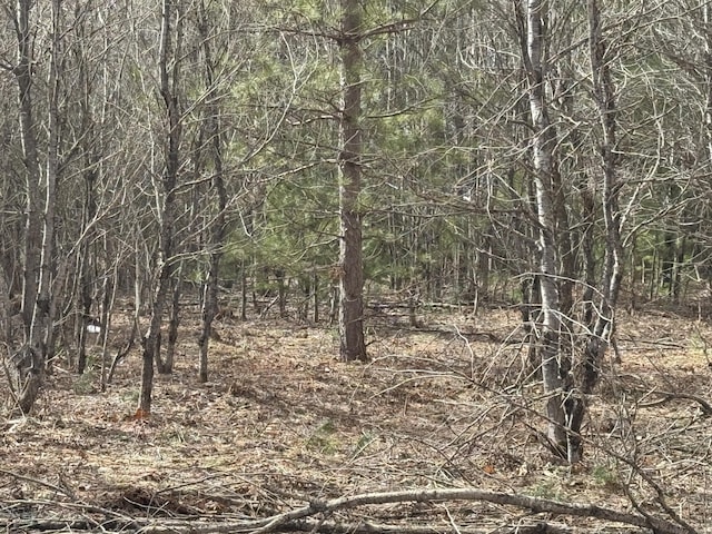 view of landscape