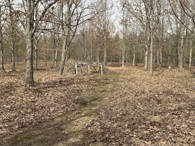 view of local wilderness