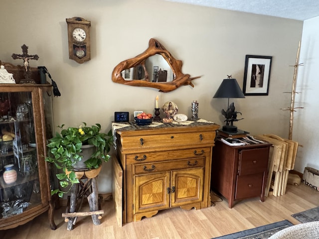 interior space with wood finished floors