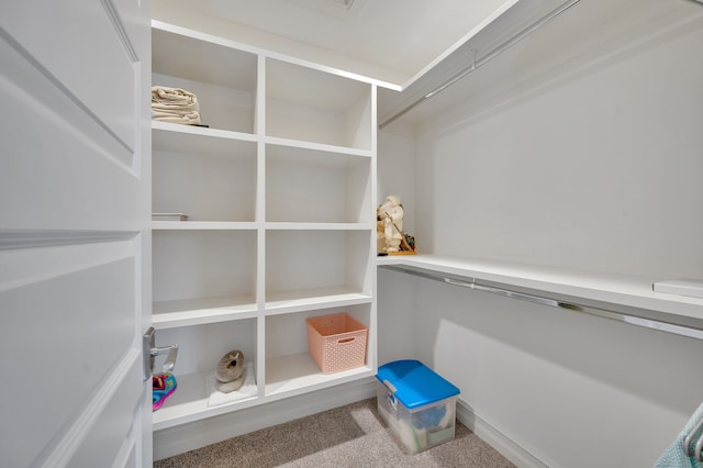 view of spacious closet