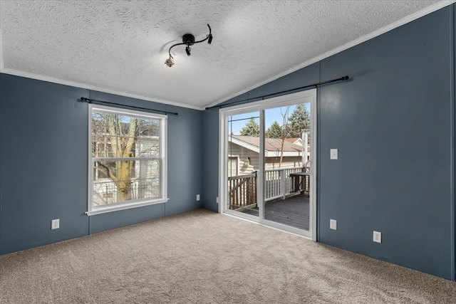 carpeted spare room featuring lofted ceiling, crown molding, and a textured ceiling