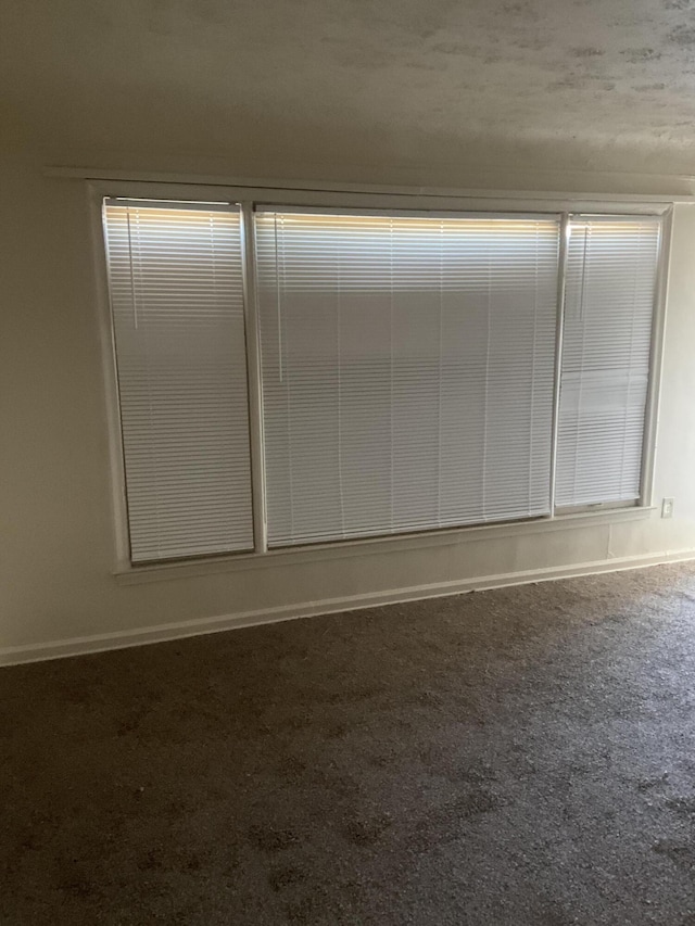 spare room with baseboards and carpet floors