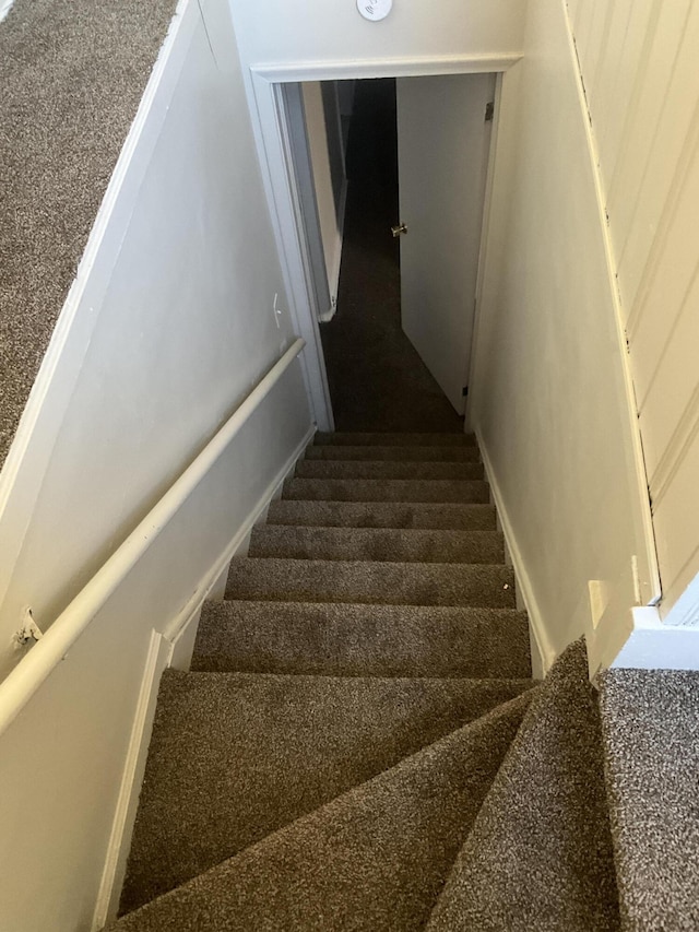 staircase featuring carpet flooring