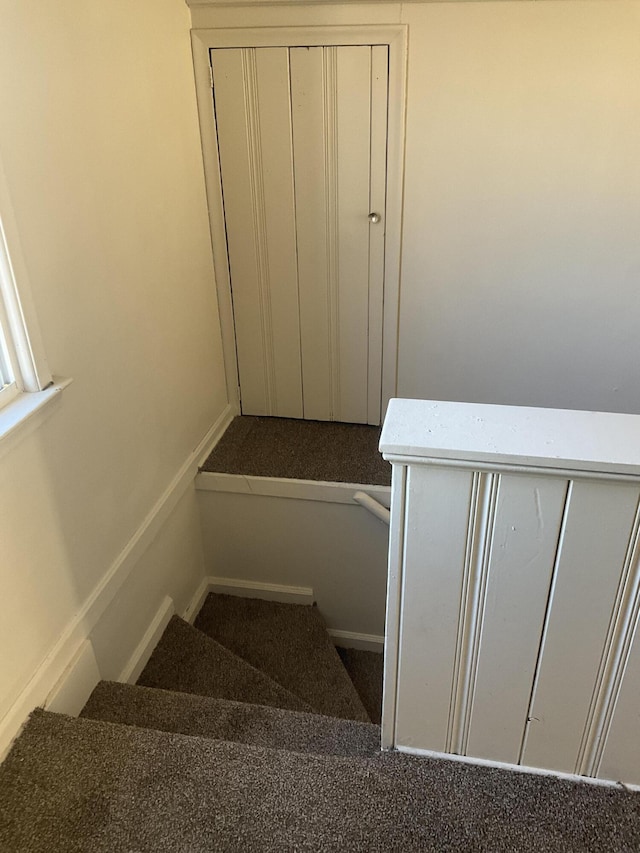 stairs with carpet floors