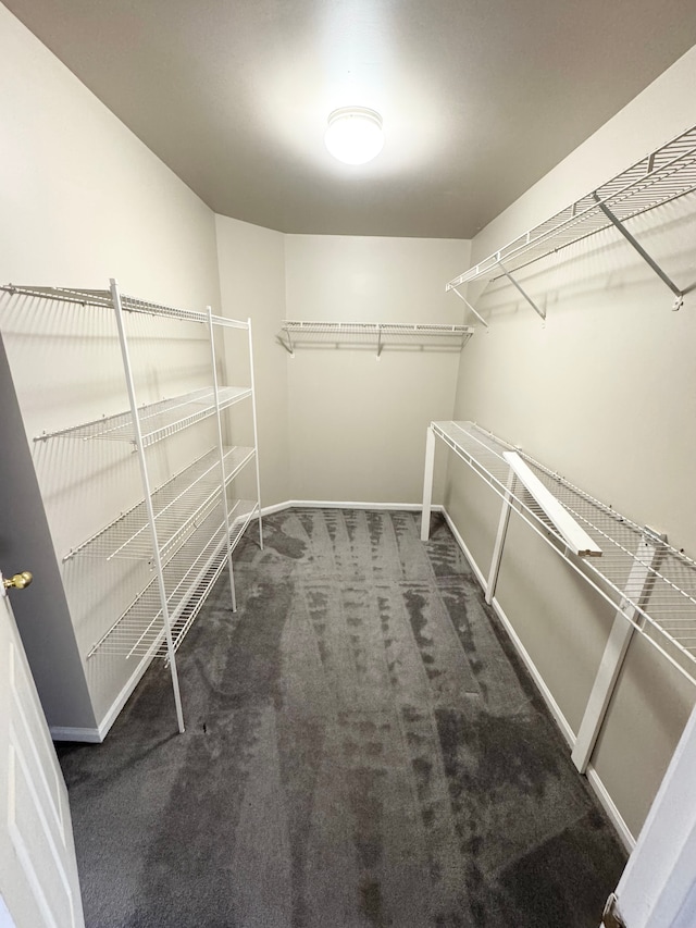 walk in closet with carpet