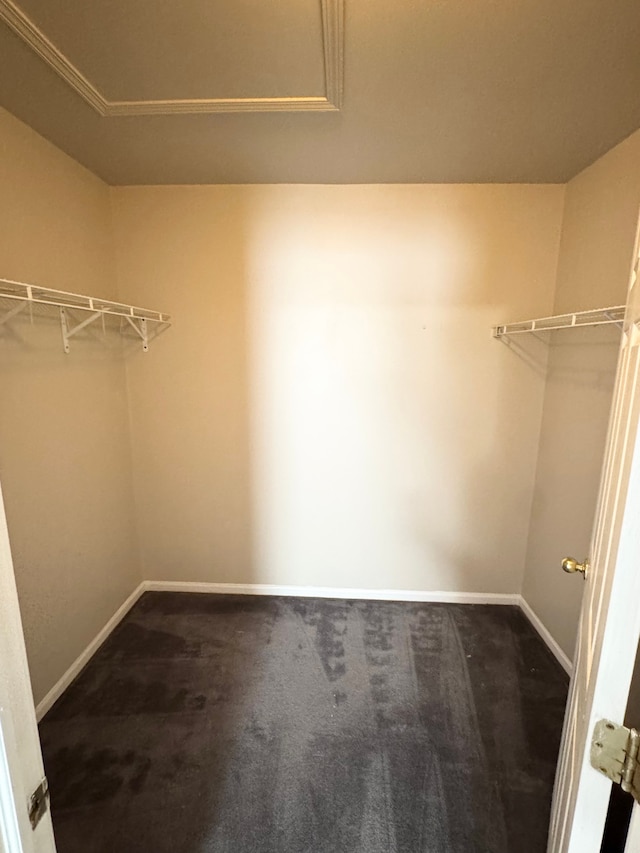 spacious closet featuring dark colored carpet