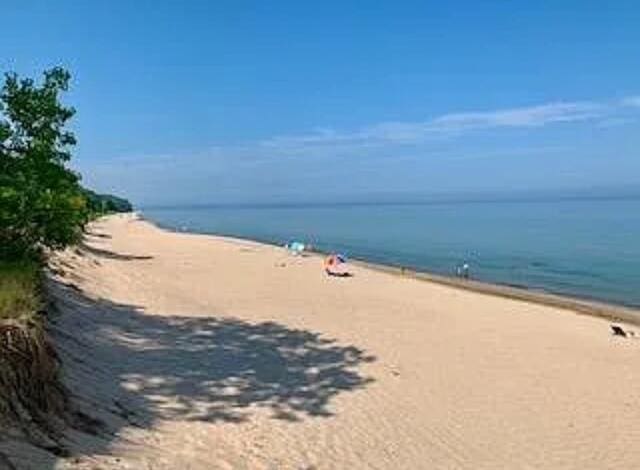 property view of water featuring a beach view