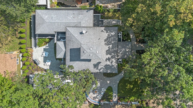 bird's eye view