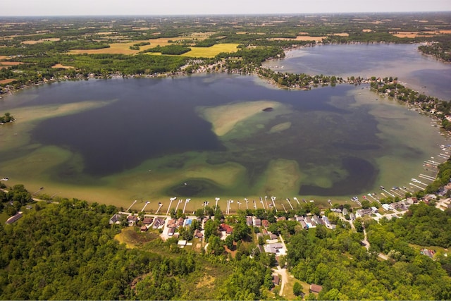 7107 Hallenbeck Hwy, Manitou Beach, MI 49253 - drone / aerial view of a large body of water