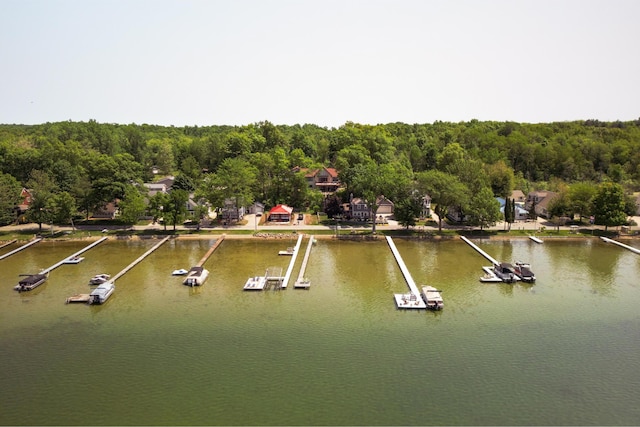 7107 Hallenbeck Hwy, Manitou Beach, MI 49253 - drone / aerial view of a large body of water