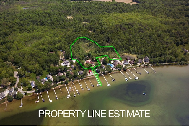 7107 Hallenbeck Hwy, Manitou Beach, MI 49253 - aerial overview of property's location with a heavily wooded area, property parcel outlined, and a large body of water
