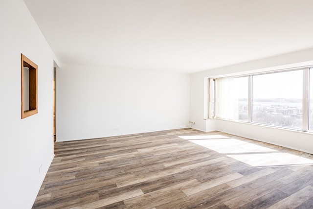 spare room with wood finished floors