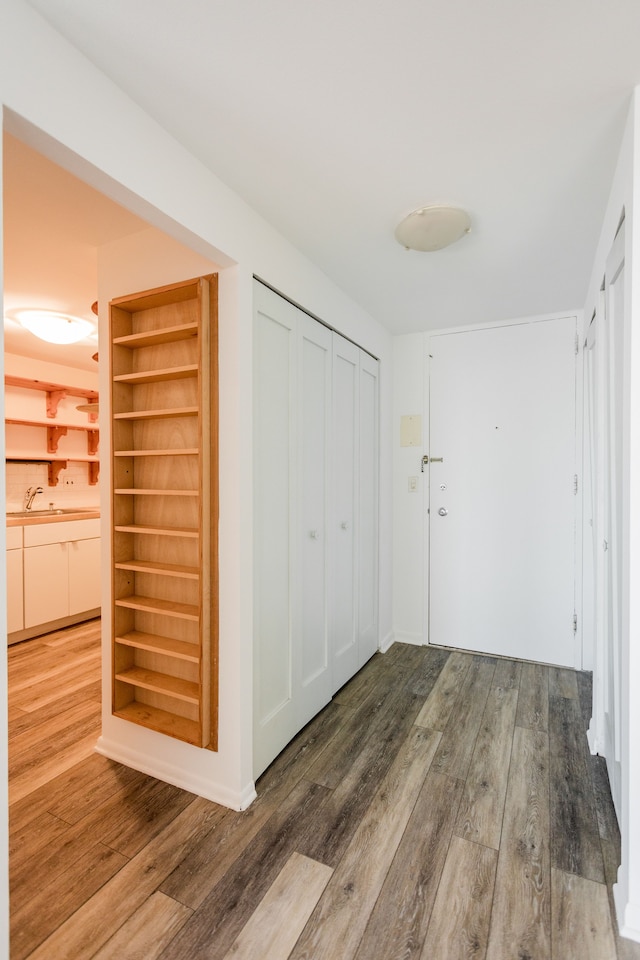 interior space featuring a sink, built in features, and wood finished floors