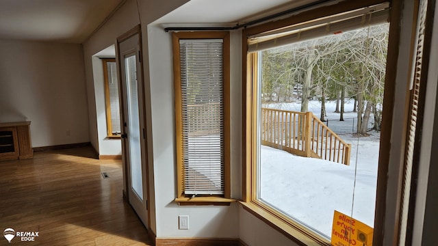 entryway featuring healthy amount of natural light, baseboards, and wood finished floors