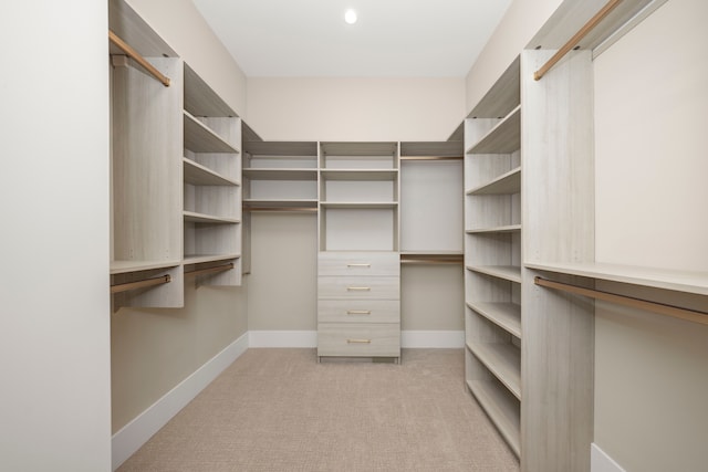 spacious closet featuring light carpet