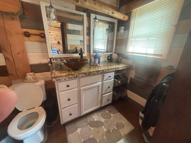 bathroom with toilet and vanity