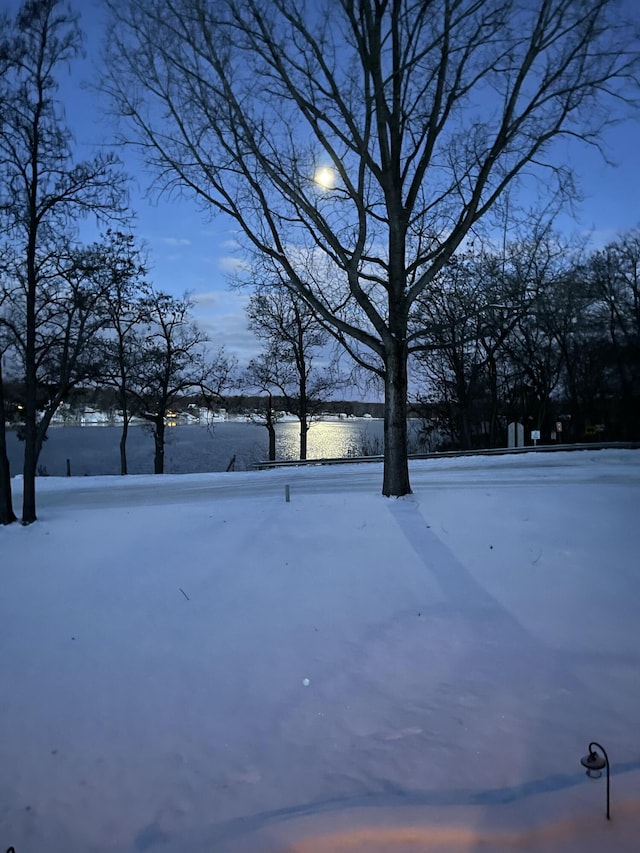 view of yard layered in snow