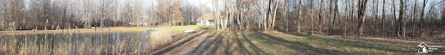 12855 W Albain Rd, Petersburg, MI 49270 - photo 73