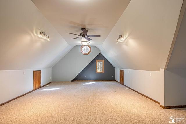 12855 W Albain Rd, Petersburg, MI 49270 - photo 57