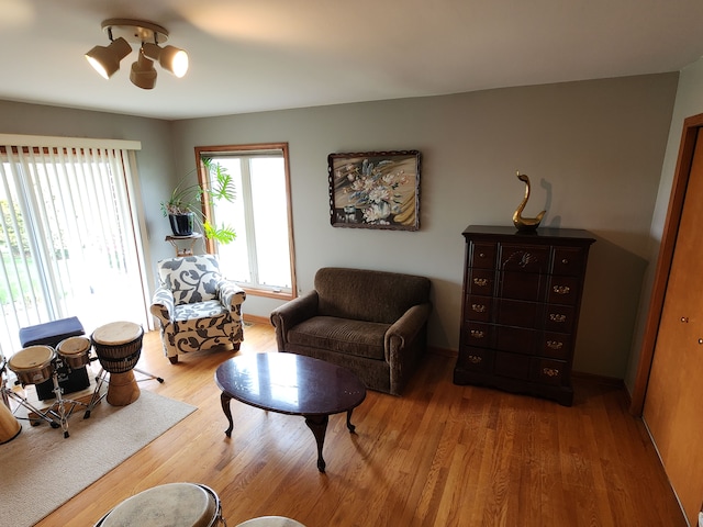 living room with wood finished floors