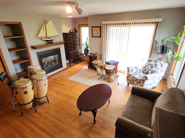 living area with light wood-style floors, plenty of natural light, and a glass covered fireplace