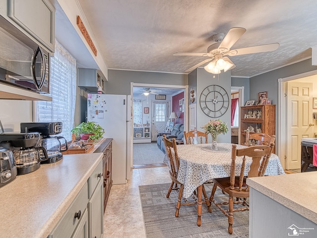 dining room featuring crown molding, a ceiling fan, and a textured ceiling